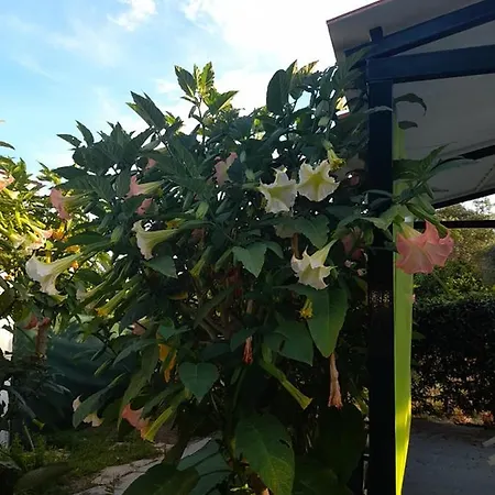 Serenity House شقة *